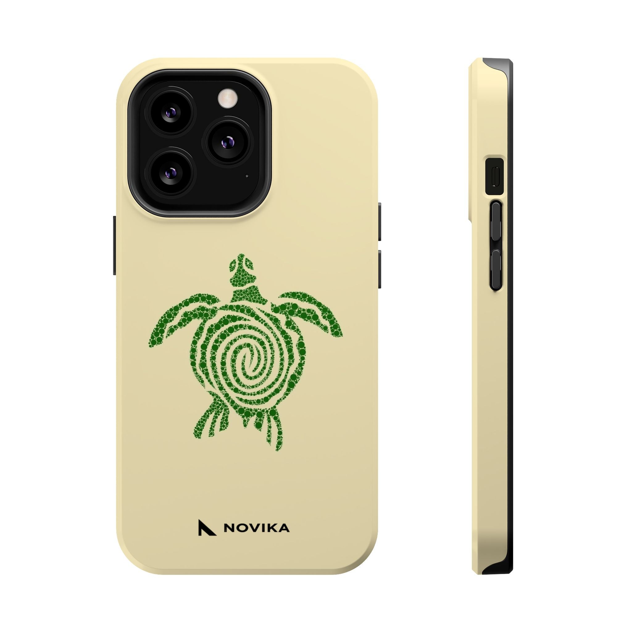 Turtle Spiral