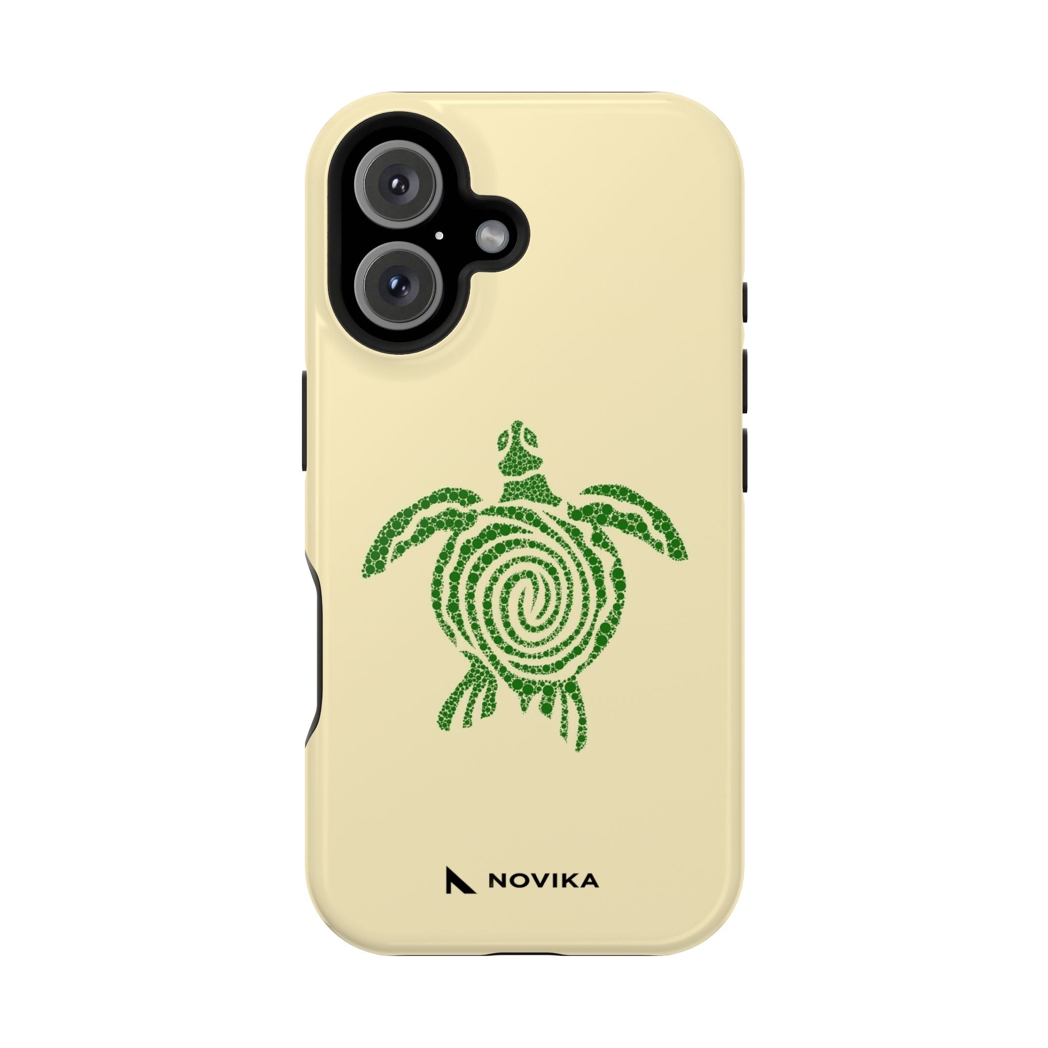 Turtle Spiral