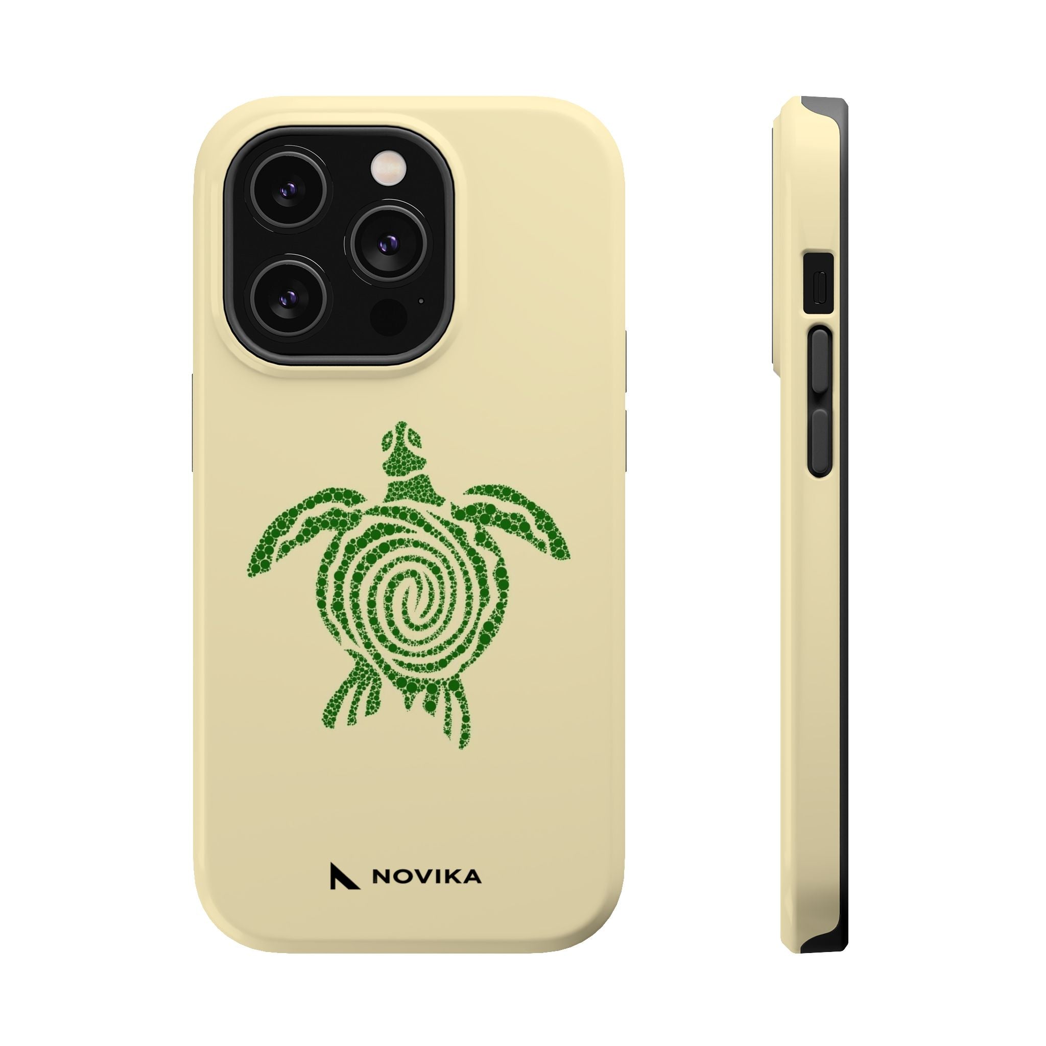 Turtle Spiral