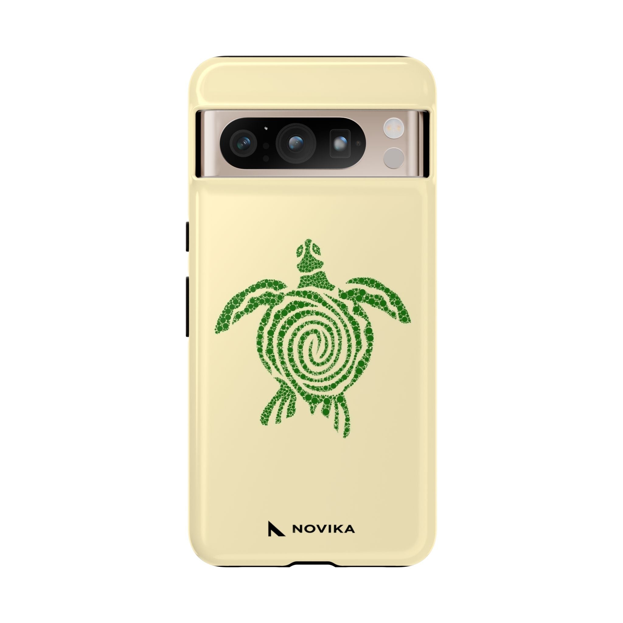 Turtle Spiral