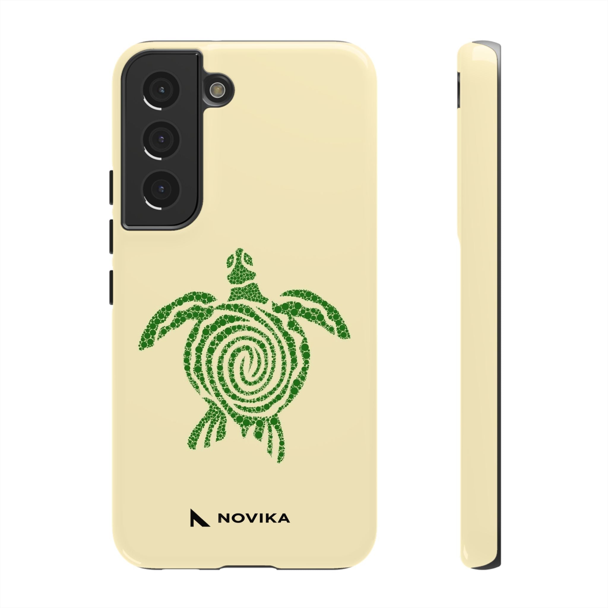 Turtle Spiral