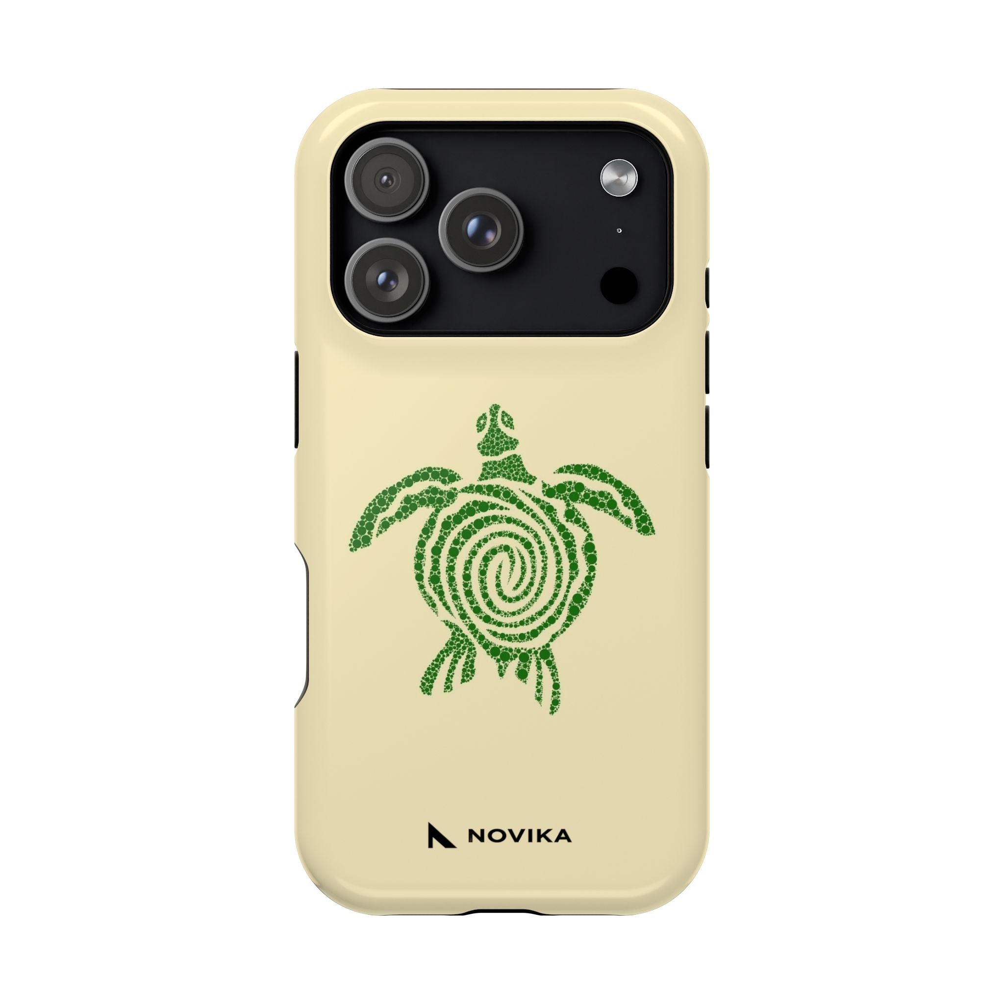 Turtle Spiral