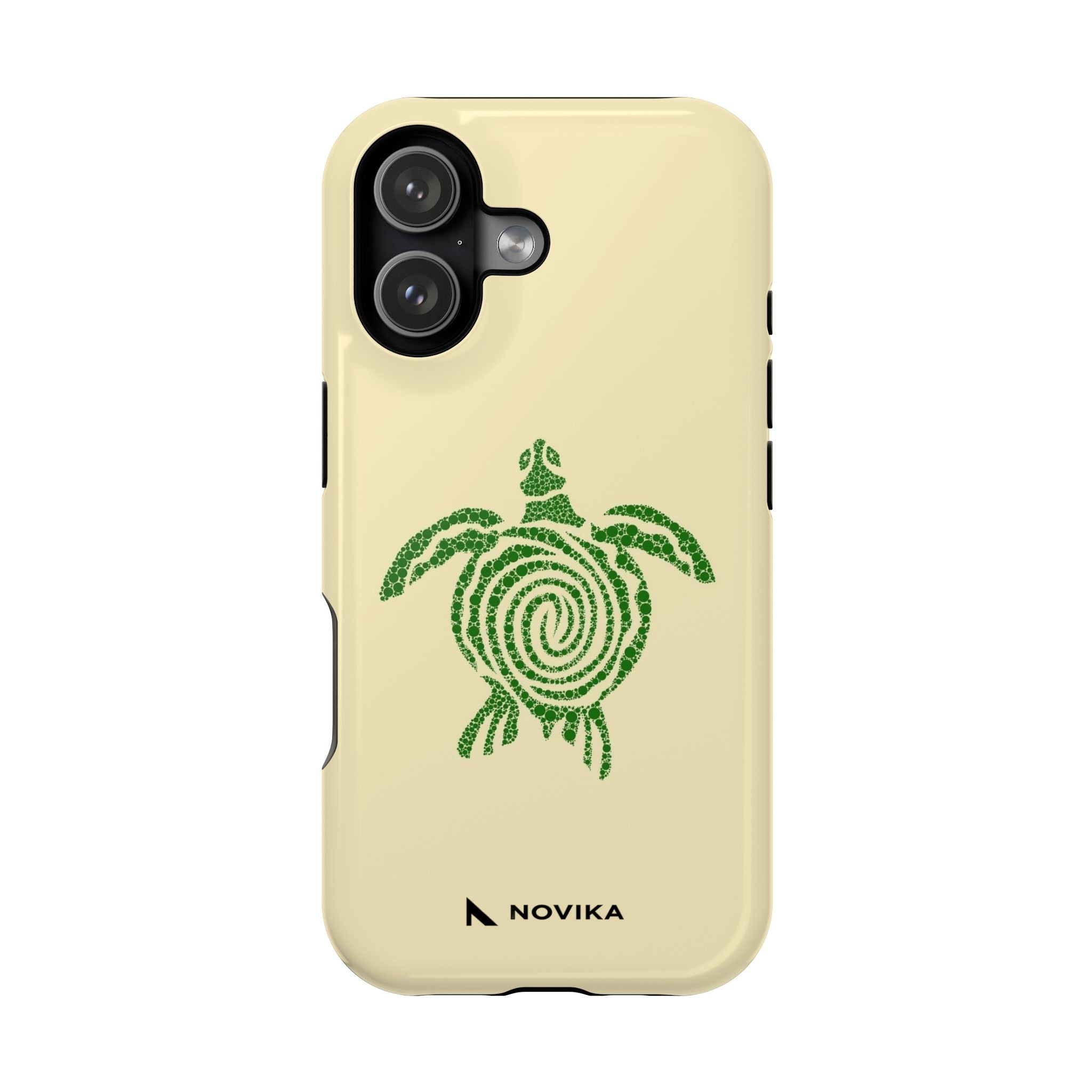 Turtle Spiral