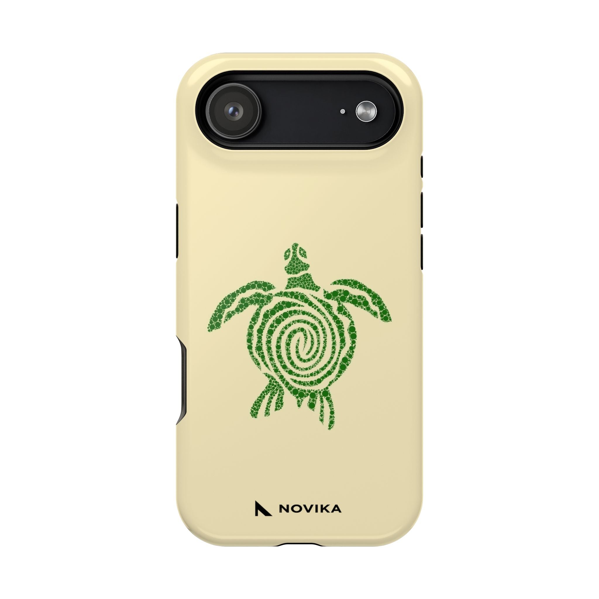 Turtle Spiral