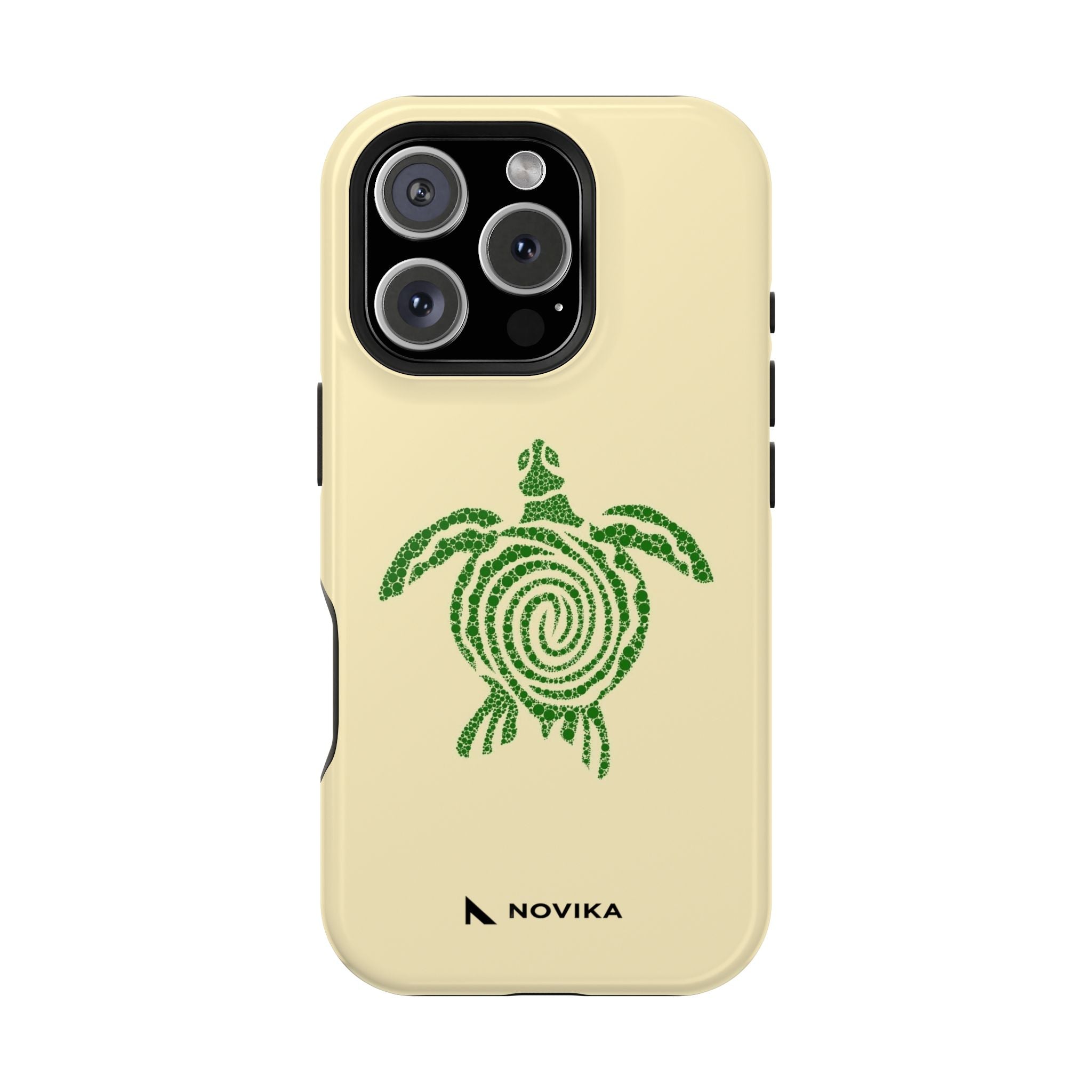 Turtle Spiral
