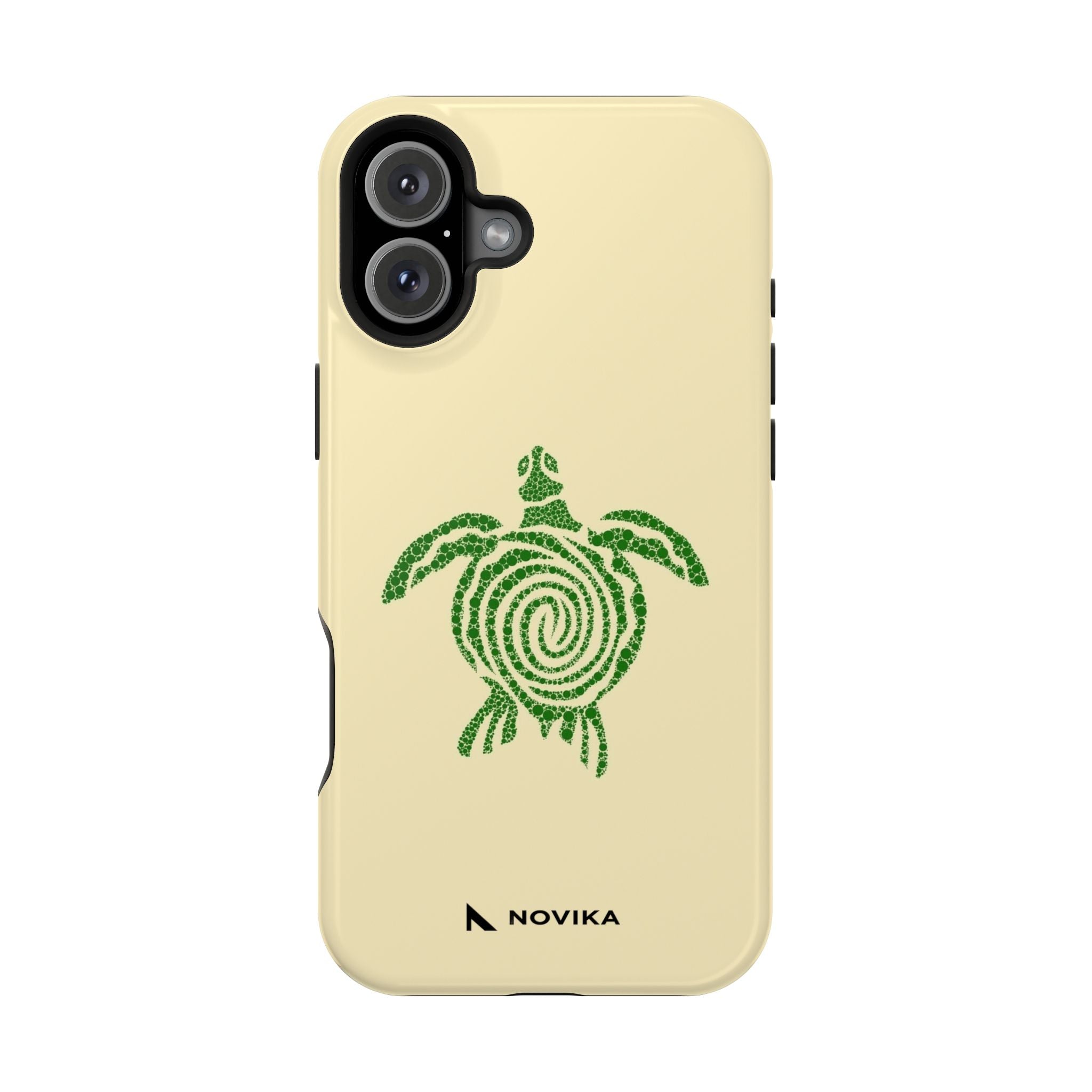 Turtle Spiral