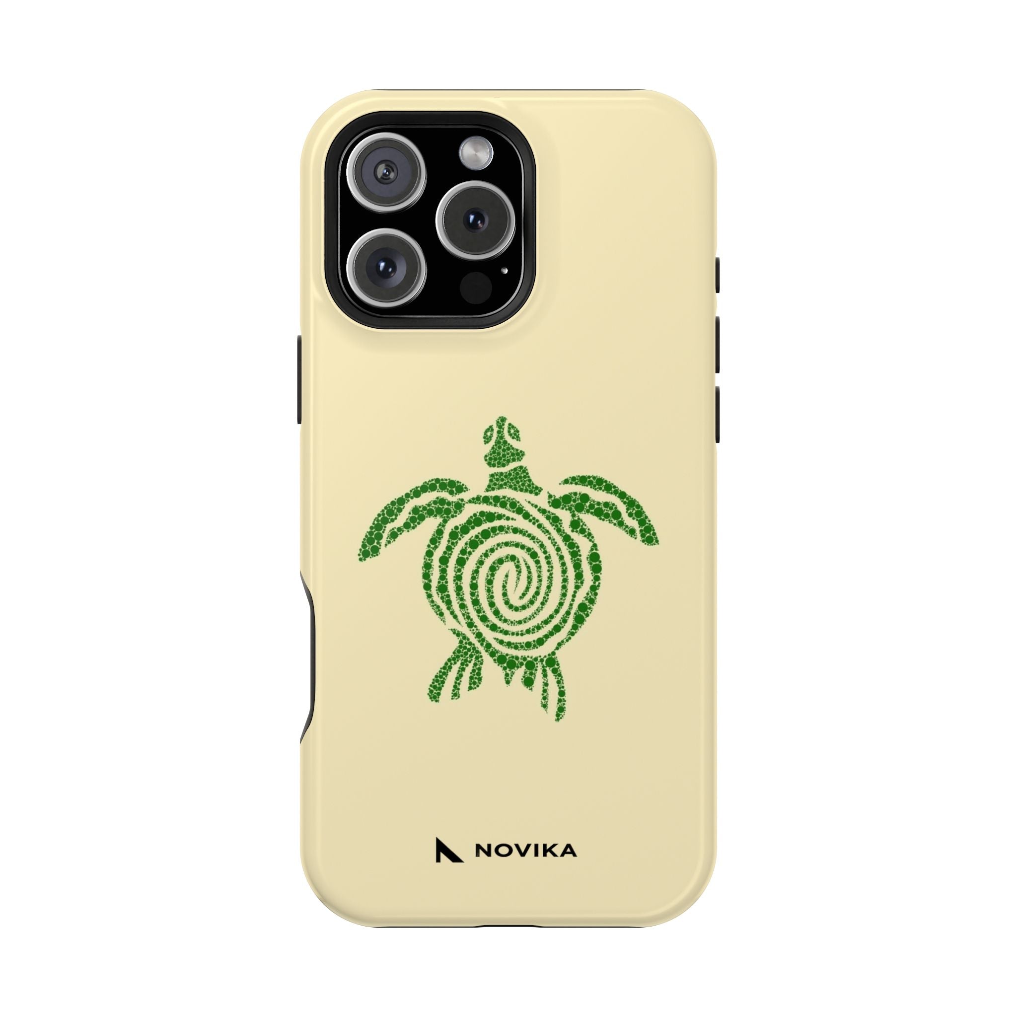 Turtle Spiral
