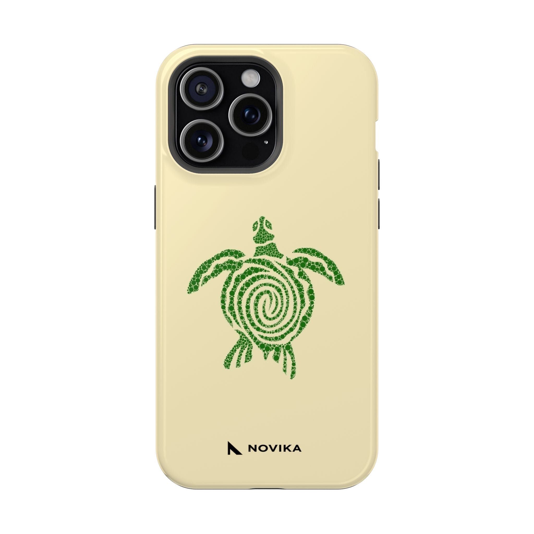 Turtle Spiral