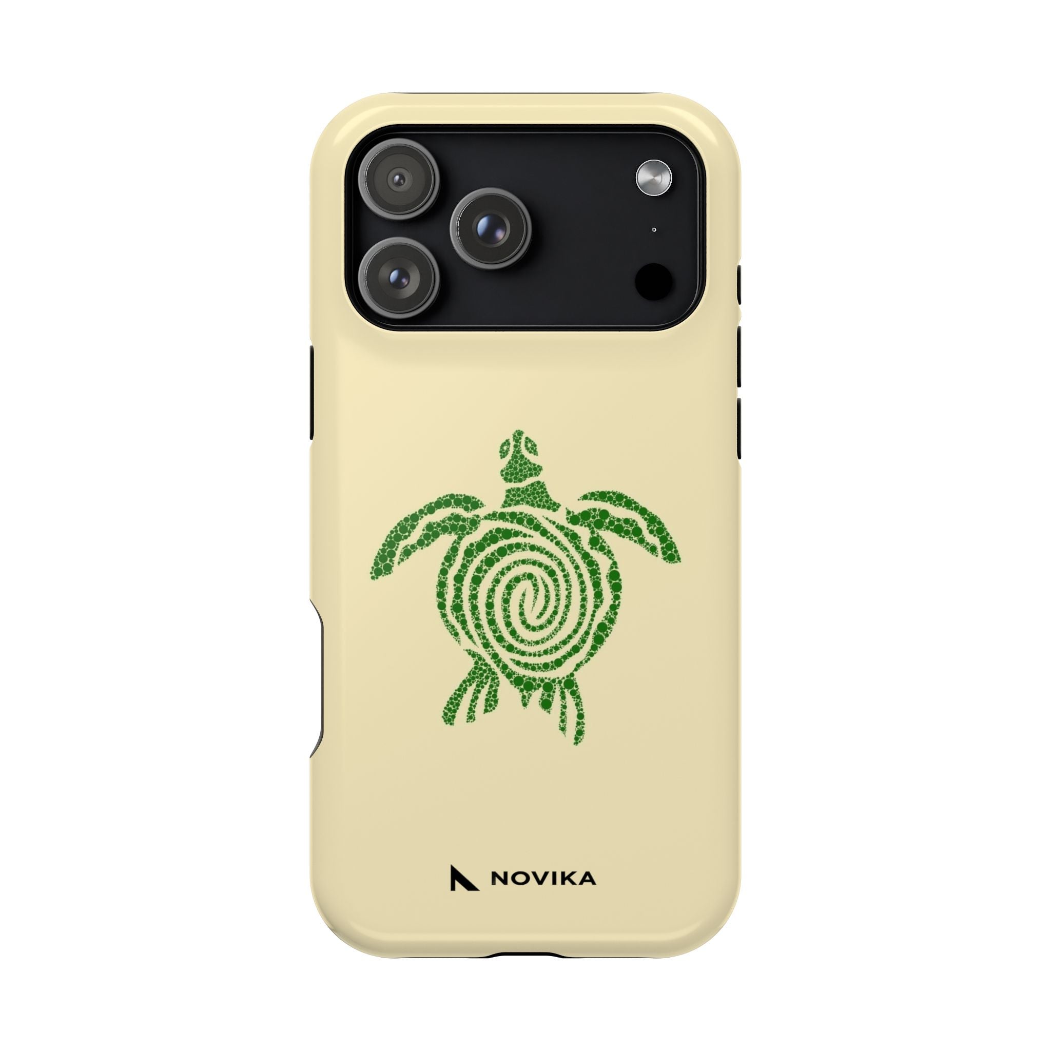 Turtle Spiral