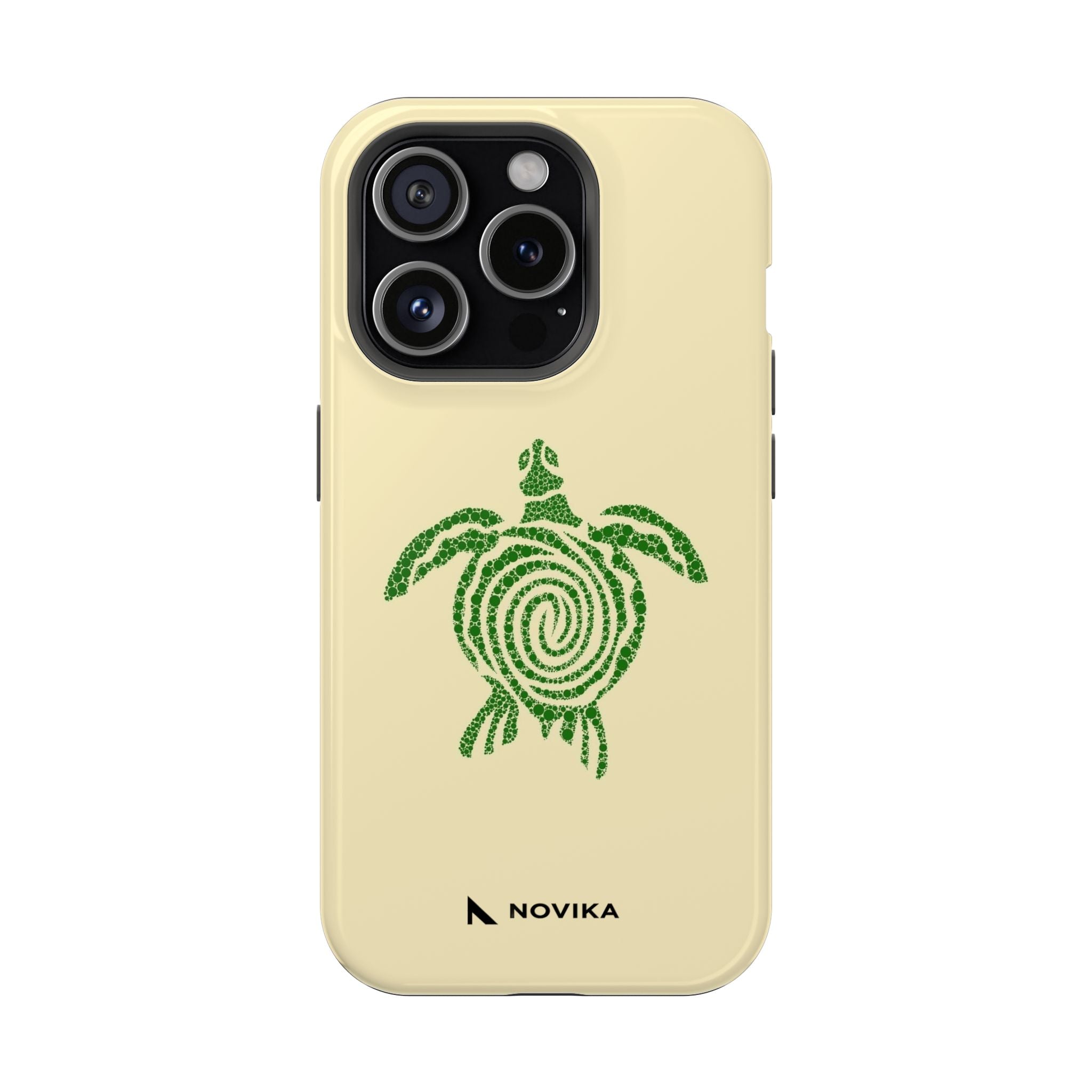 Turtle Spiral