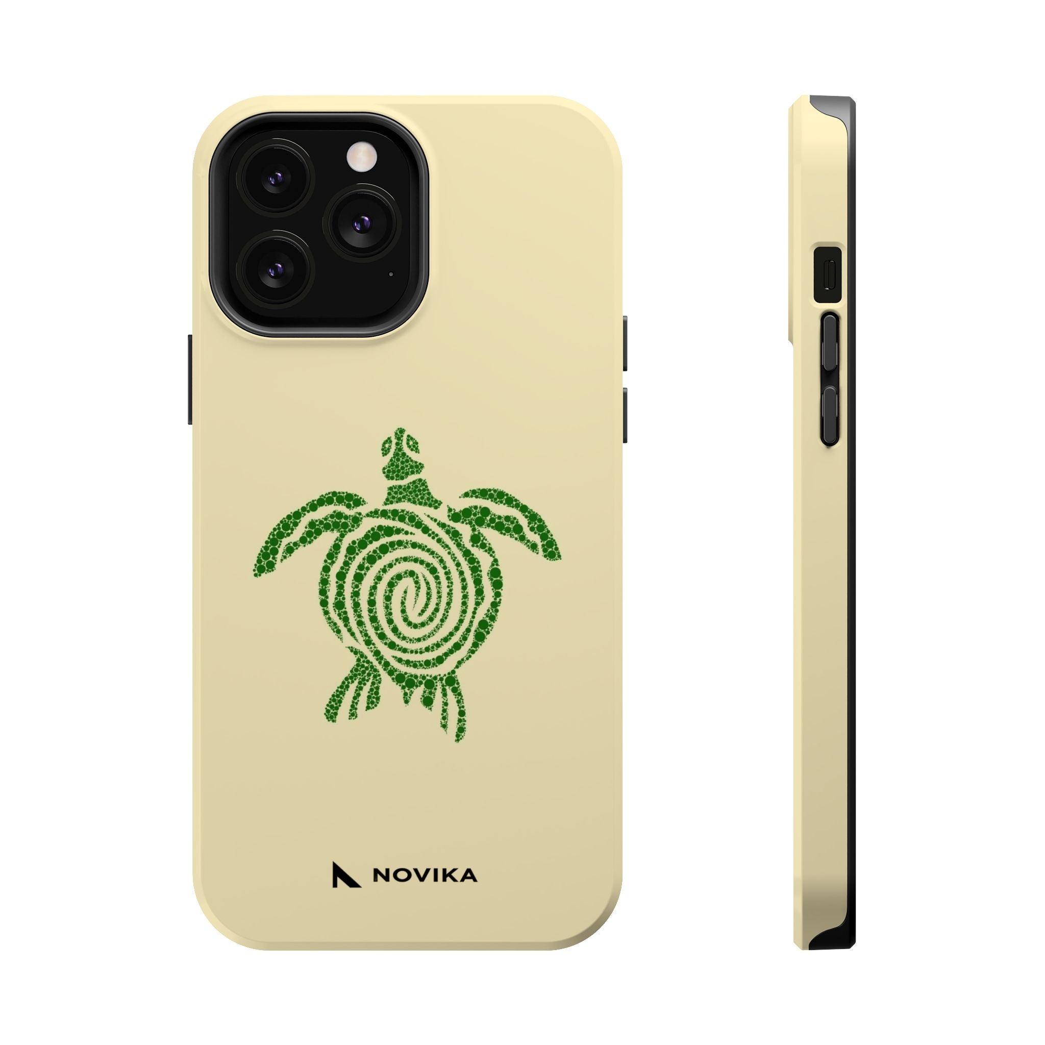 Turtle Spiral