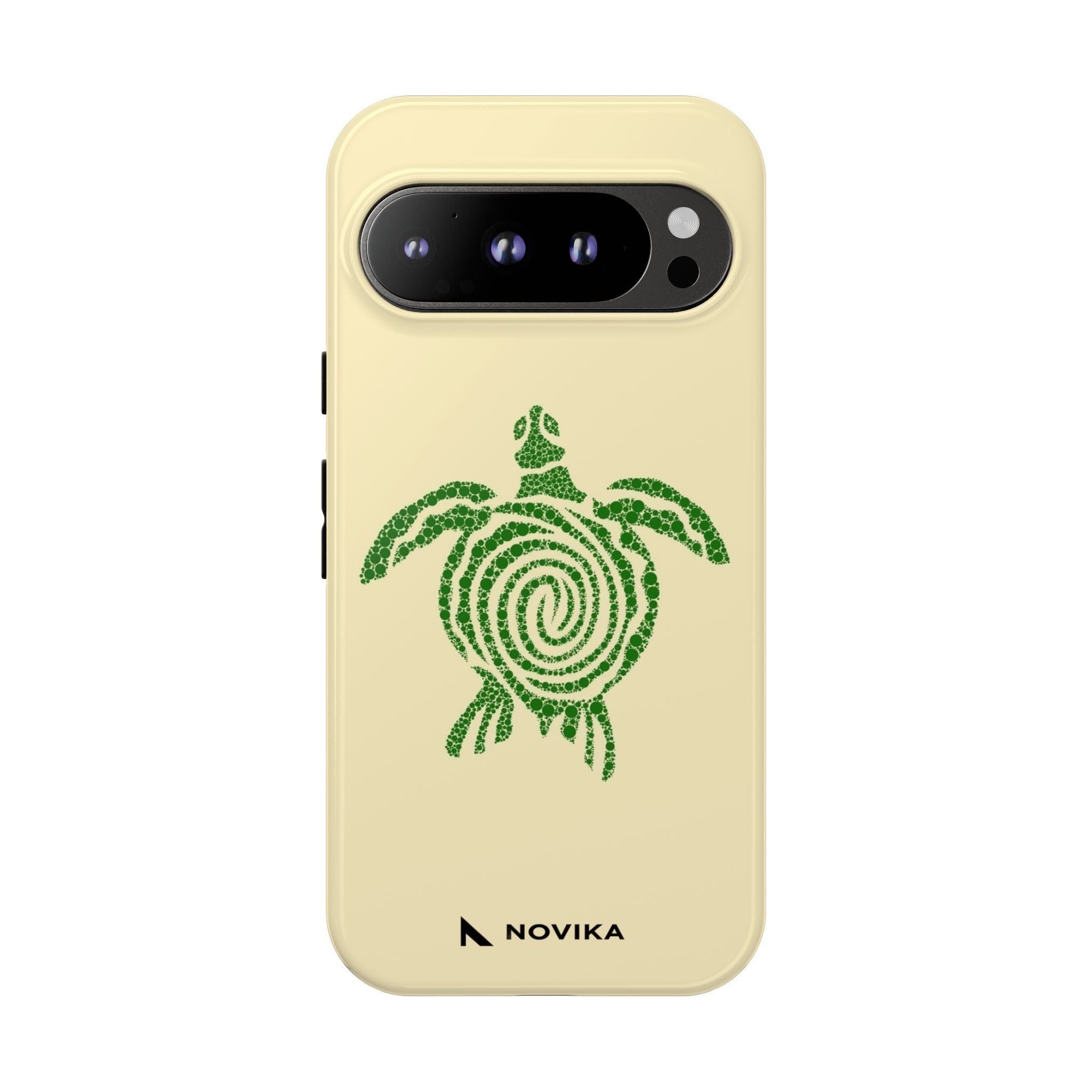 Turtle Spiral