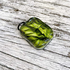 Green Pleated Paper